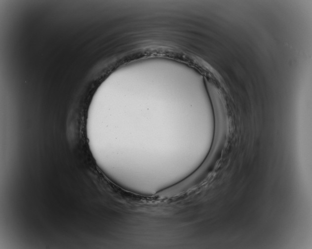 X0000087570775200705251819