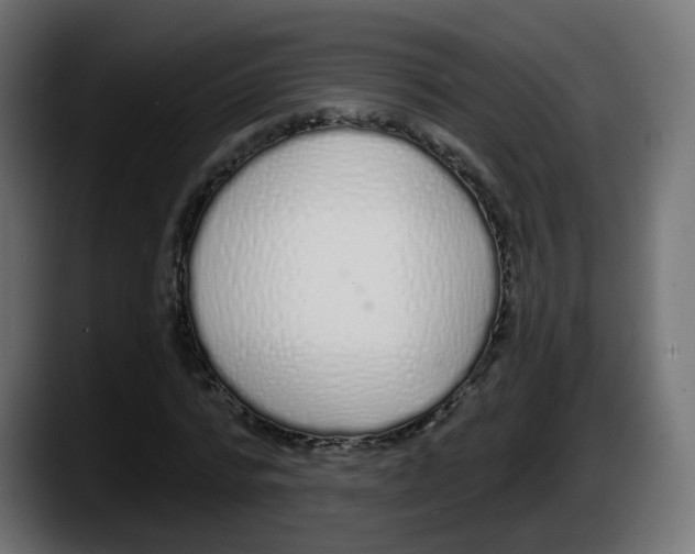 X0000087570776200705251819