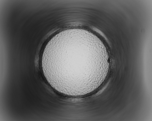 X0000087570778200705251819