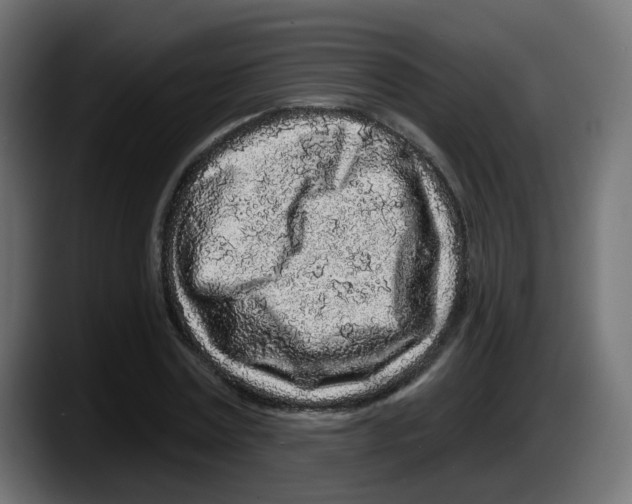 X0000087570779200705251819