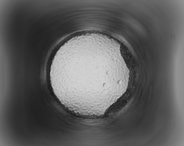 X0000087570780200705251819