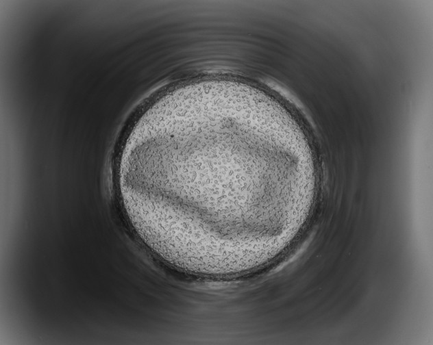 X0000087570782200705251819