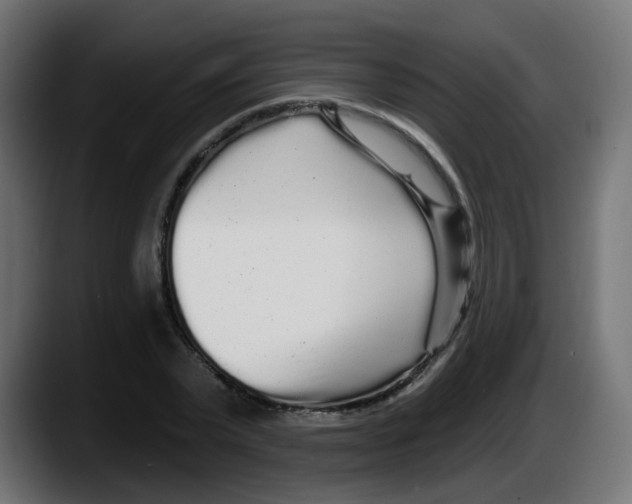 X0000087570783200705251819