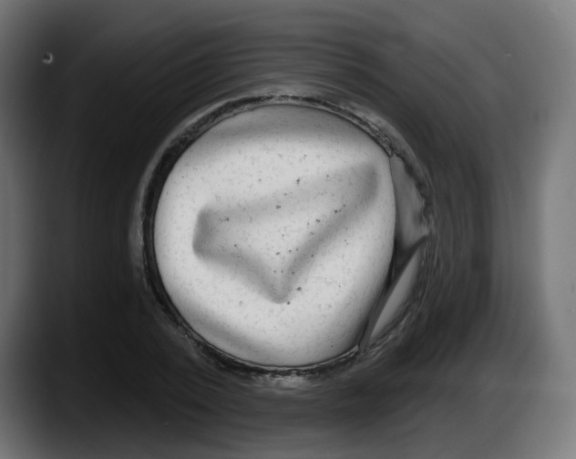 X0000087570784200705251819