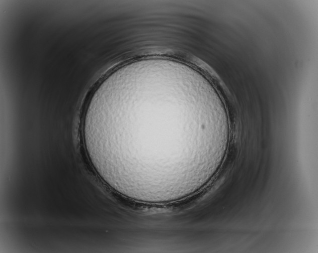 X0000087570786200705251819