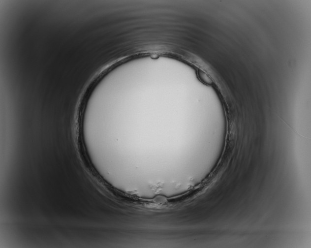 X0000087570787200705251819