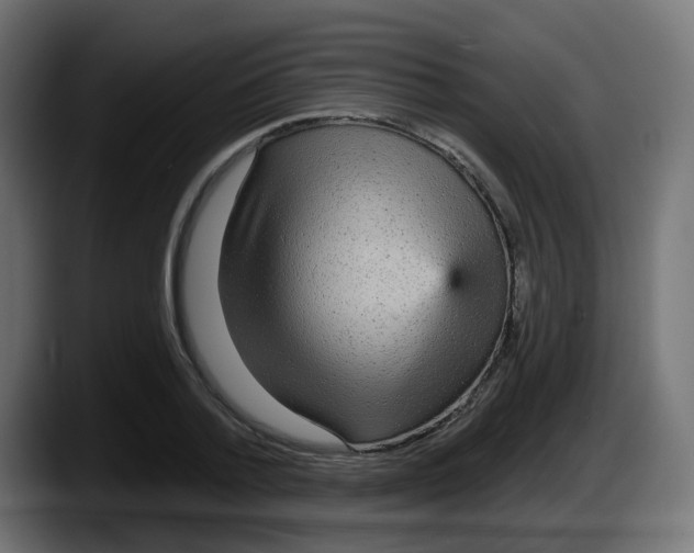 X0000087570788200705251819