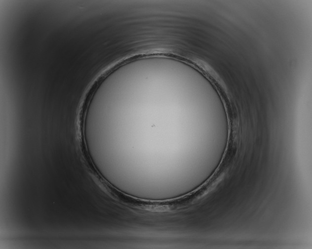 X0000087570789200705251819