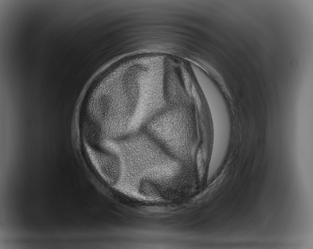 X0000087570792200705251819