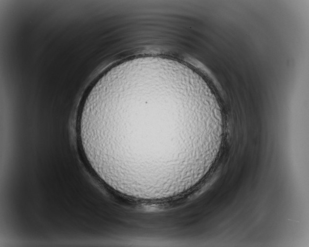 X0000087570794200705251819