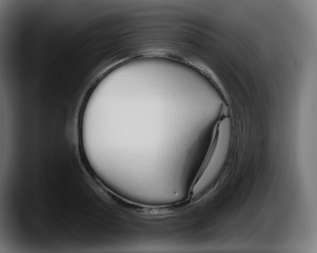 X0000087570795200705251819