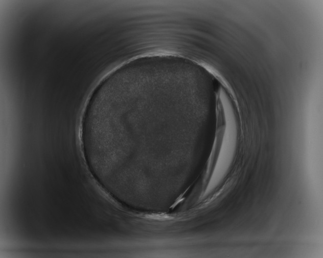 X0000087570797200705251819