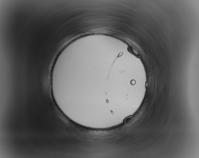 X0000087570800200705251819