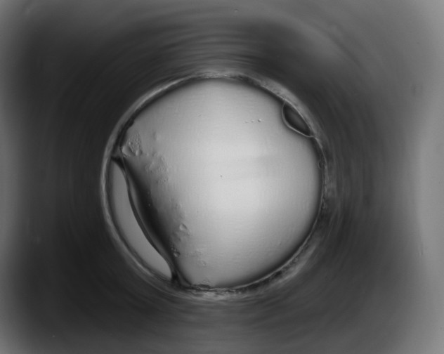 X0000087570803200705251819