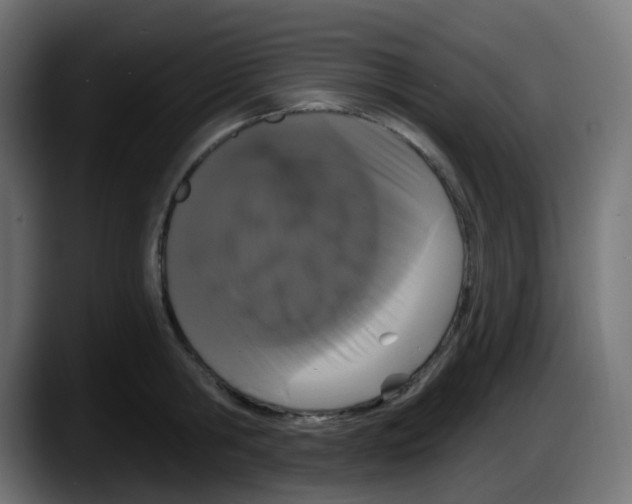 X0000087570806200705251819