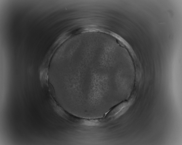 X0000087570809200705251819