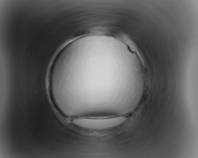 X0000087570811200705251819