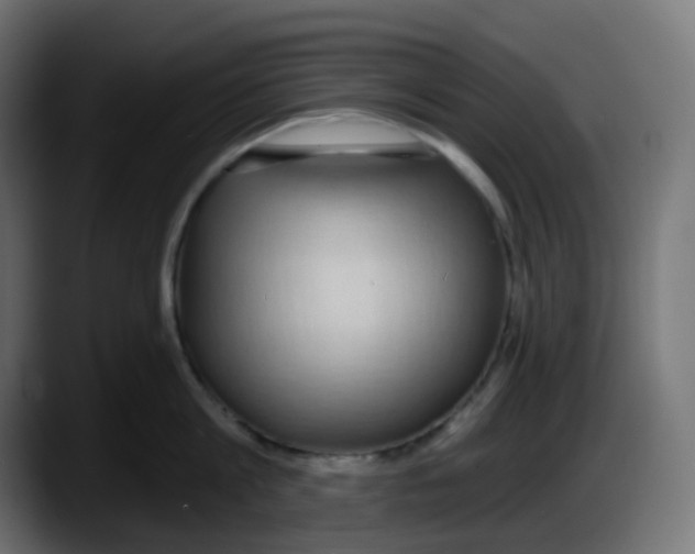 X0000087570813200705251819