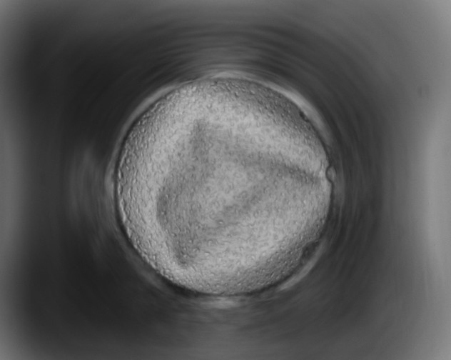 X0000087570814200705251819