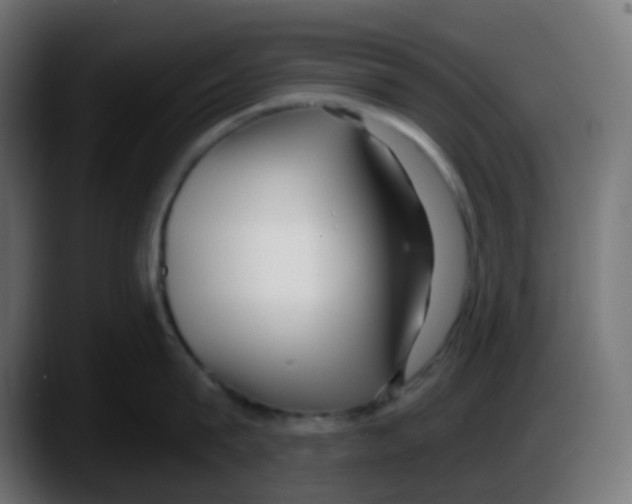 X0000087570815200705251819