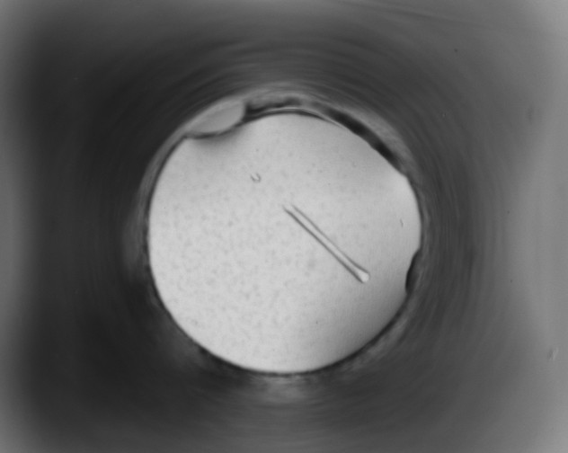 X0000087570816200705251819