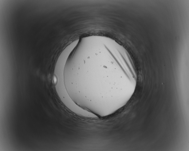 X0000087570820200705251818