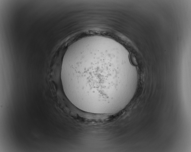 X0000087570822200705251818