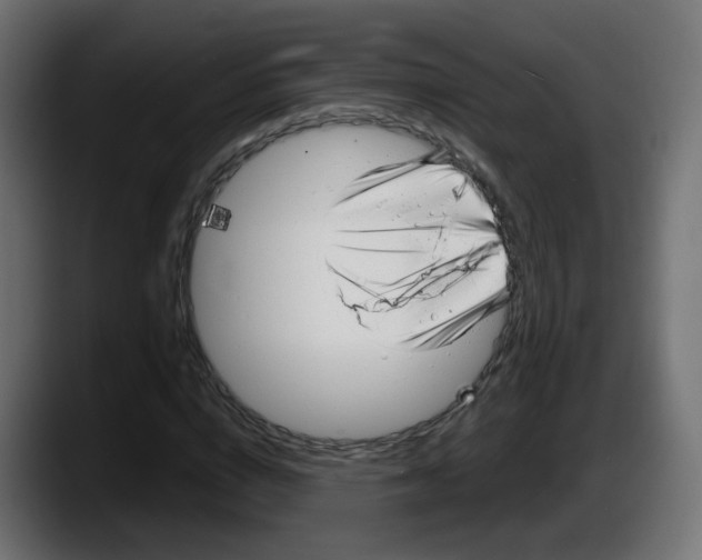 X0000087570824200705251818