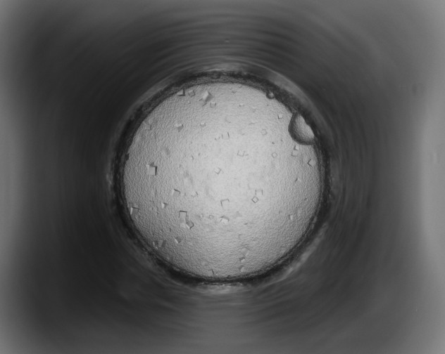 X0000087570826200705251818