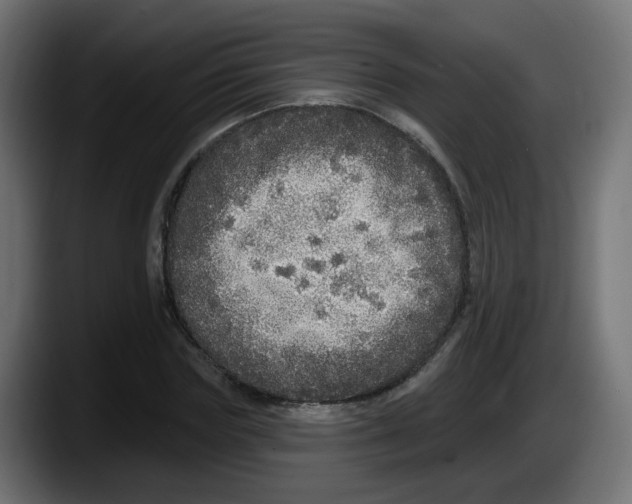 X0000087570827200705251818