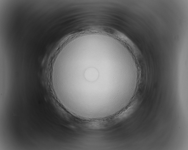 X0000087570828200705251818