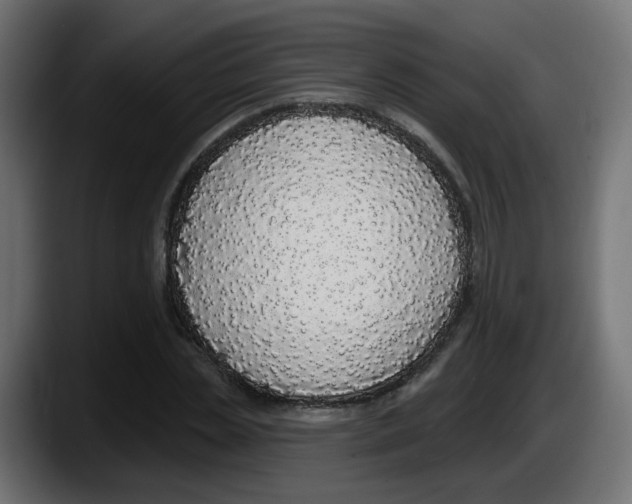 X0000087570829200705251818