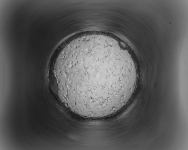 X0000087570830200705251818