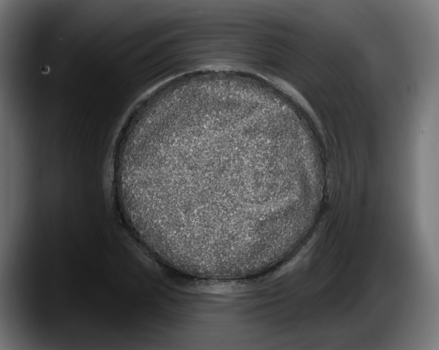 X0000087570831200705251818