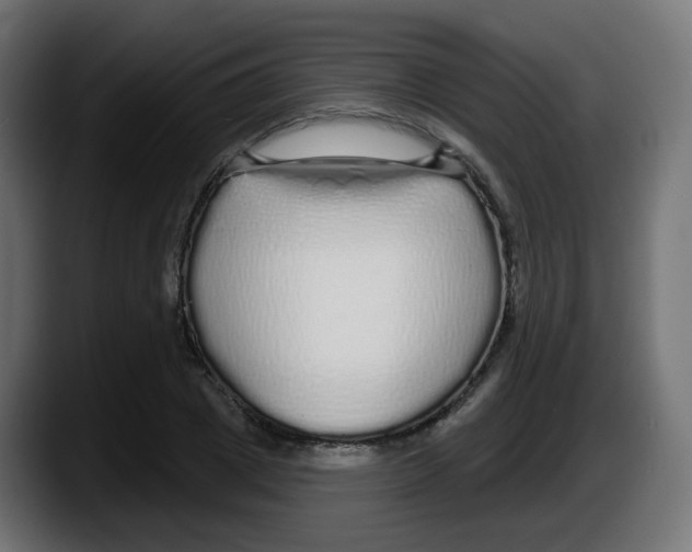 X0000087570833200705251818