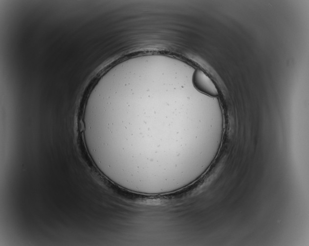 X0000087570834200705251818