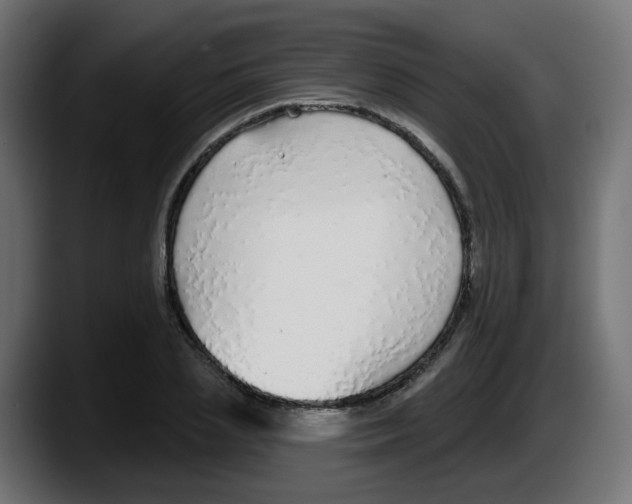 X0000087570837200705251819