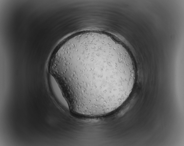X0000087570838200705251819