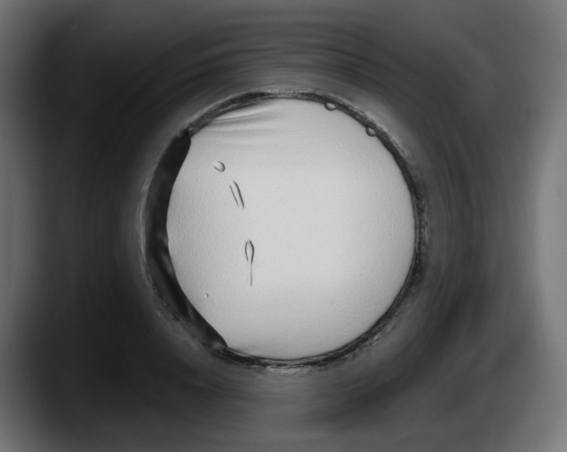 X0000087570840200705251819