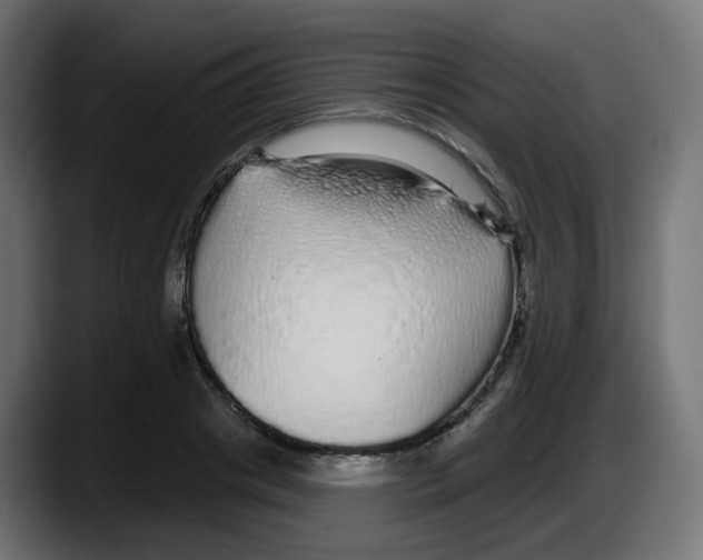 X0000087570841200705251819