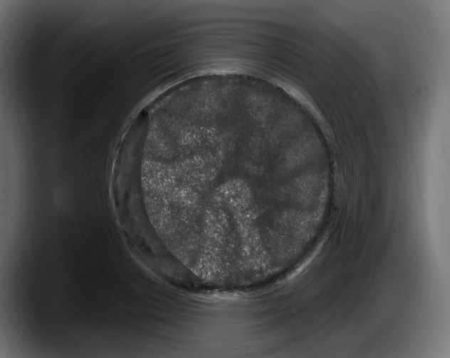 X0000087570842200705251819