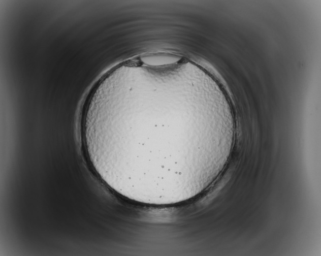 X0000087570843200705251819