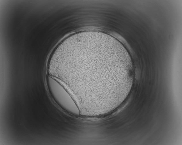 X0000087570844200705251819