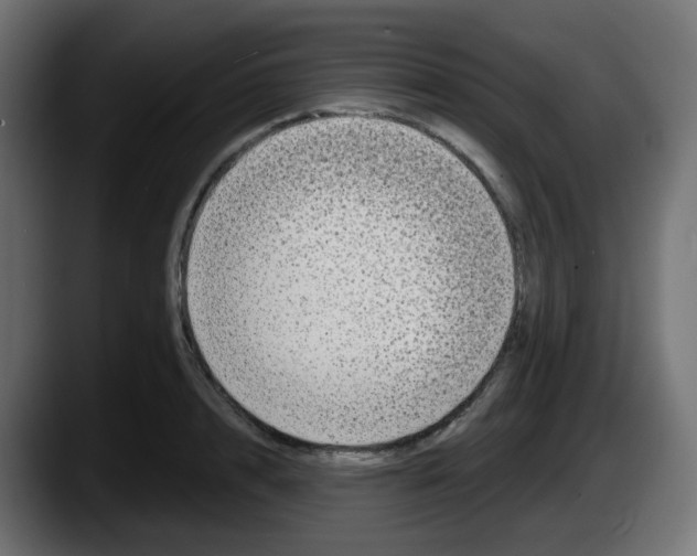 X0000087570848200705251819