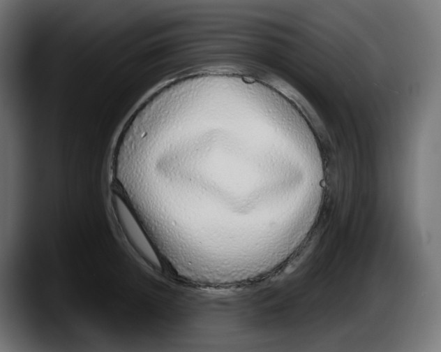 X0000087570852200705251819