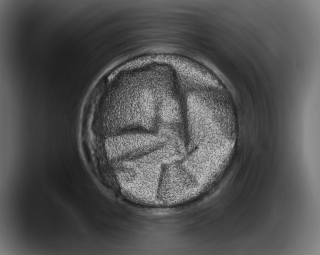 X0000087570853200705251819