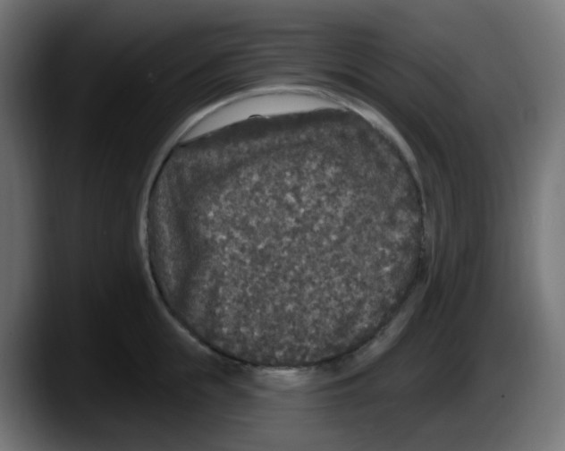 X0000087570855200705251819