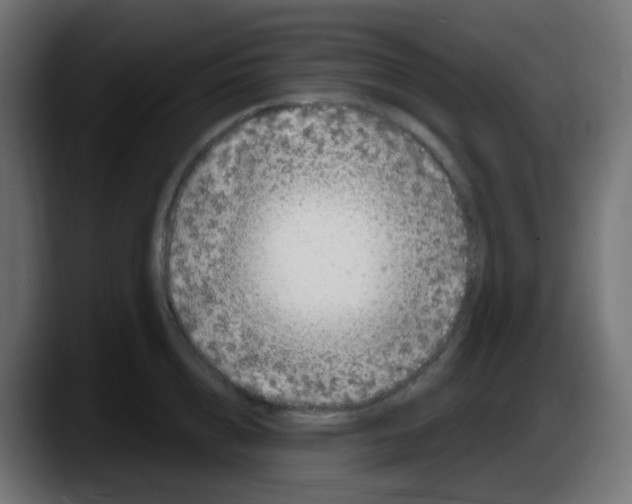 X0000087570856200705251819