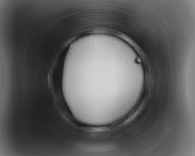 X0000087570857200705251819