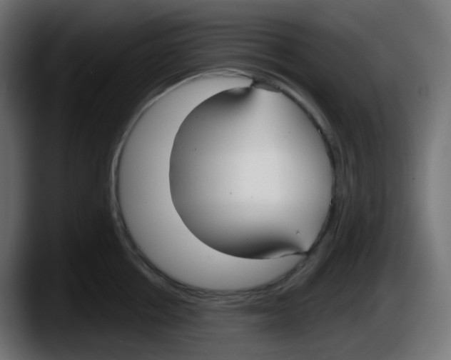 X0000087570858200705251819